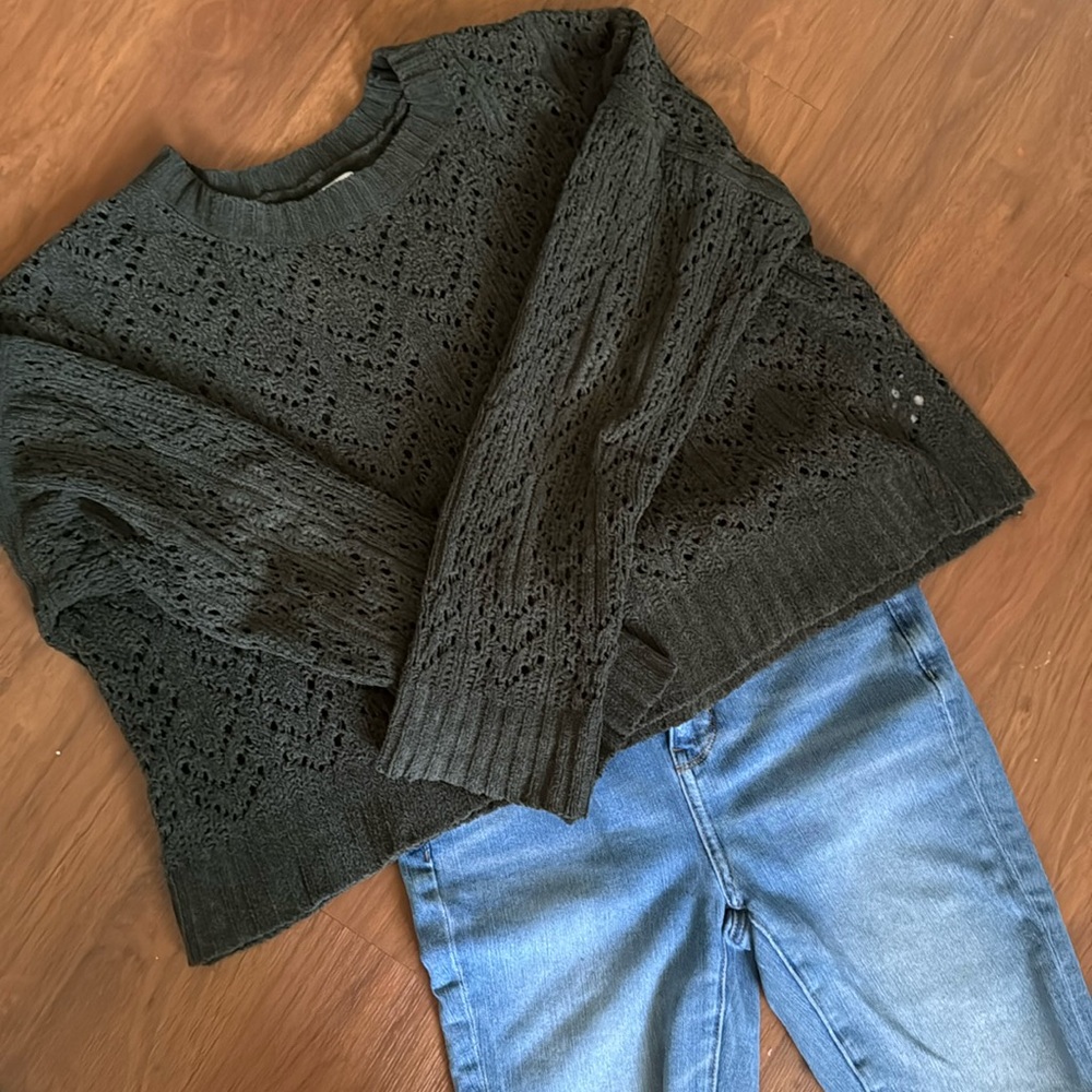Moss Green Crochet Knit American Eagle Cropped Sweater